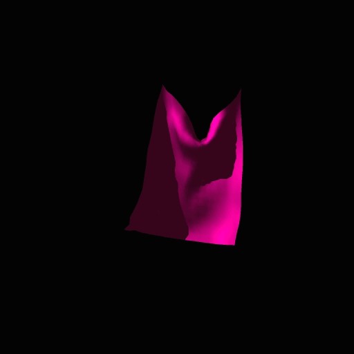 Cloth Video